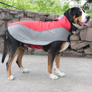 Накидка дождевик из нейлона для швейцарского зенненхунда «Raincoat Cape»
